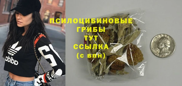 прущая мука Инсар