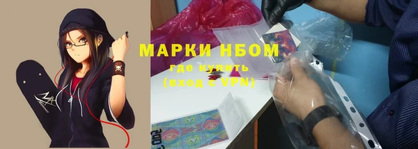 прущая мука Инсар