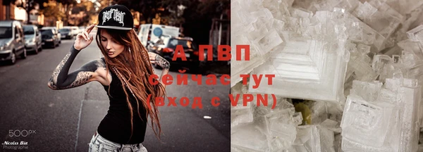 прущая мука Инсар